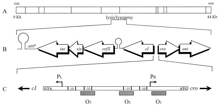 FIG. 1