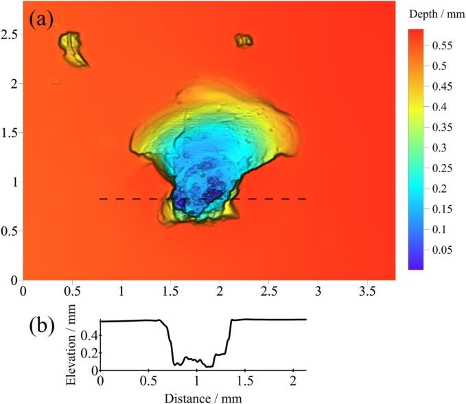 Fig. 10