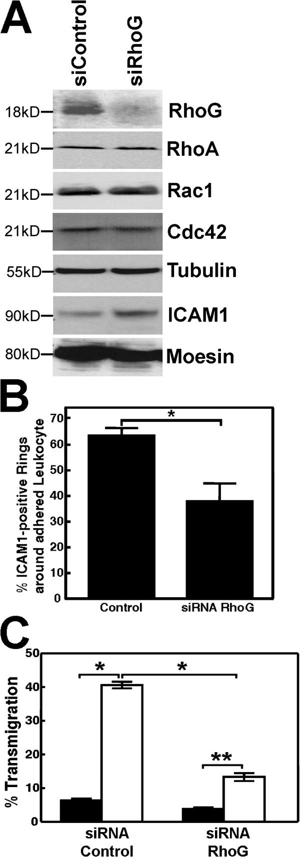 Figure 9.