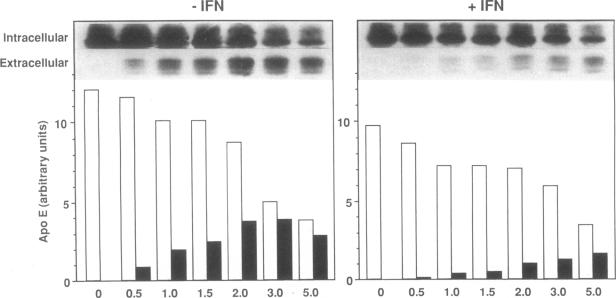 graphic file with name jcinvest00040-0190-a.jpg