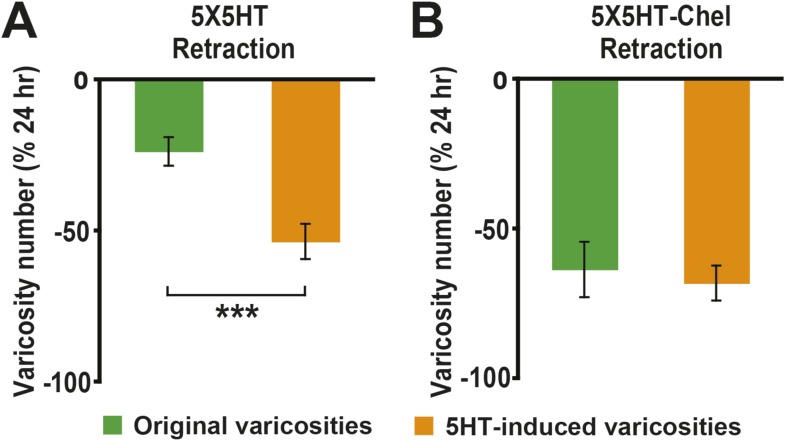 Figure 5—figure supplement 1.