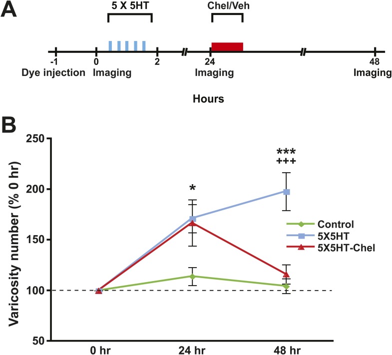 Figure 4.