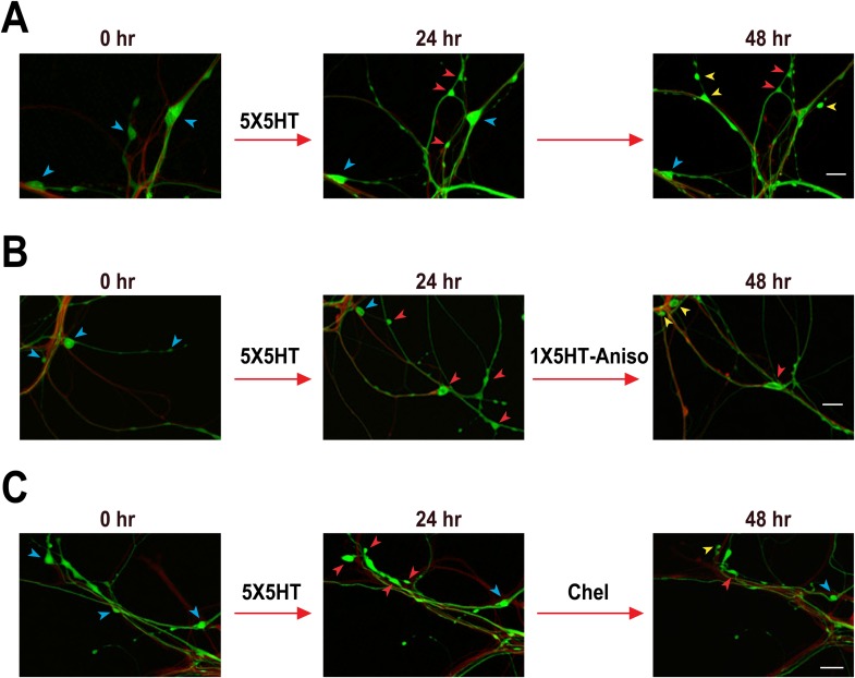 Figure 3.