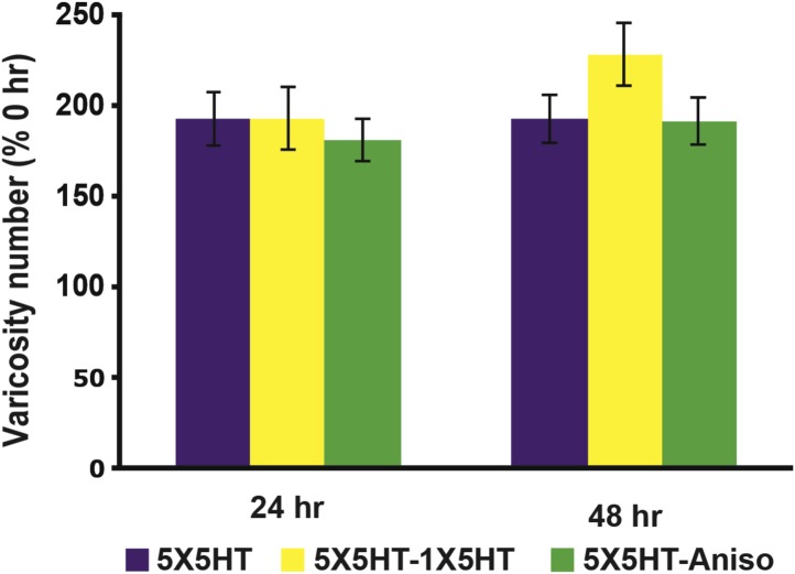 Figure 1—figure supplement 1.