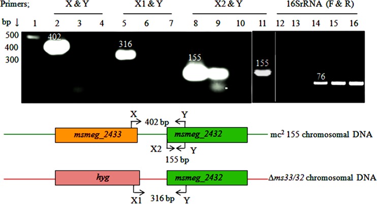 FIG 1