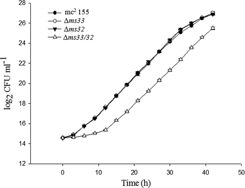 FIG 2