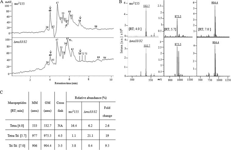 FIG 3