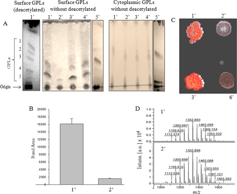 FIG 4