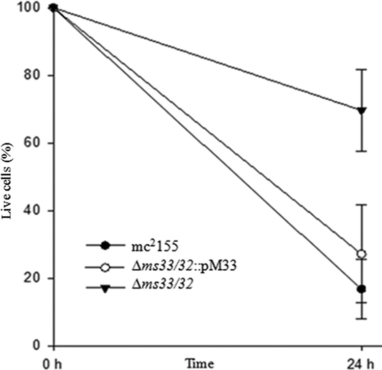 FIG 6