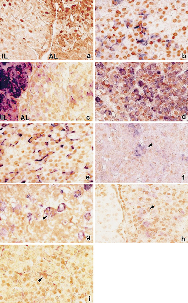 Fig. 2a-i