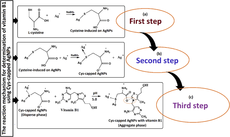 Figure 7