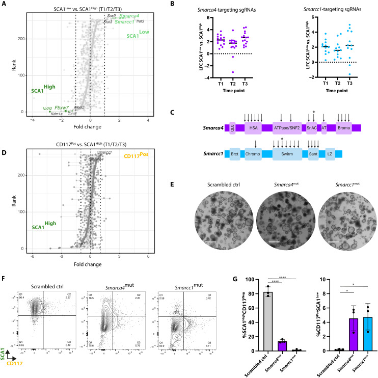 Fig. 3.