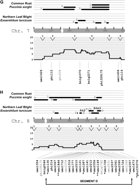 Figure 3.—