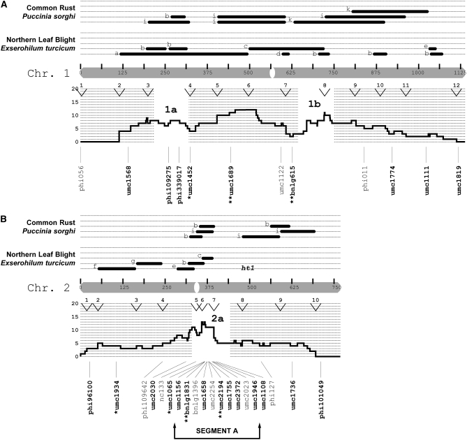 Figure 3.—