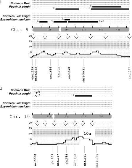 Figure 3.—