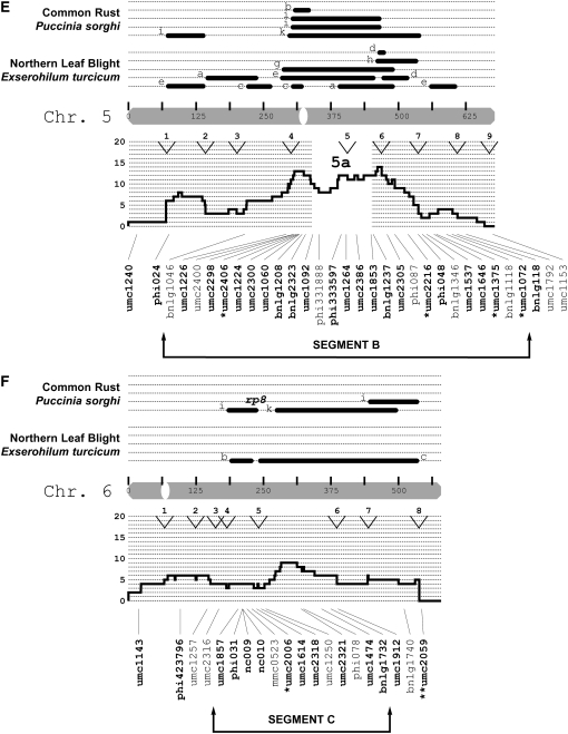 Figure 3.—