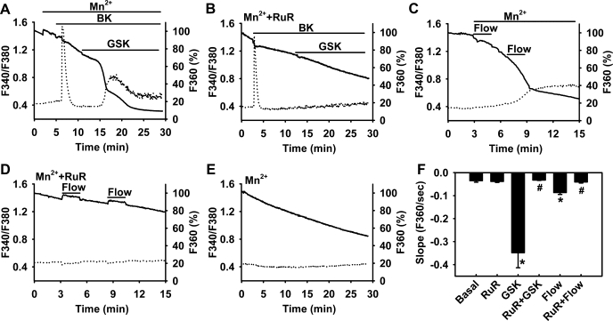 Fig. 5.