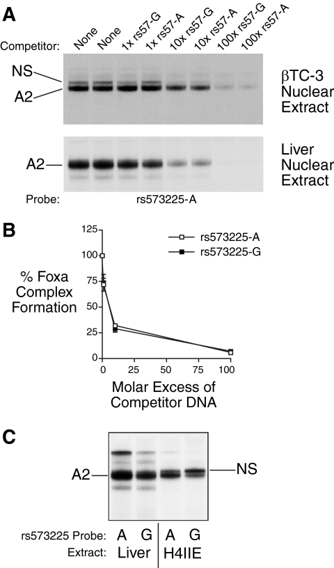 FIG. 5.