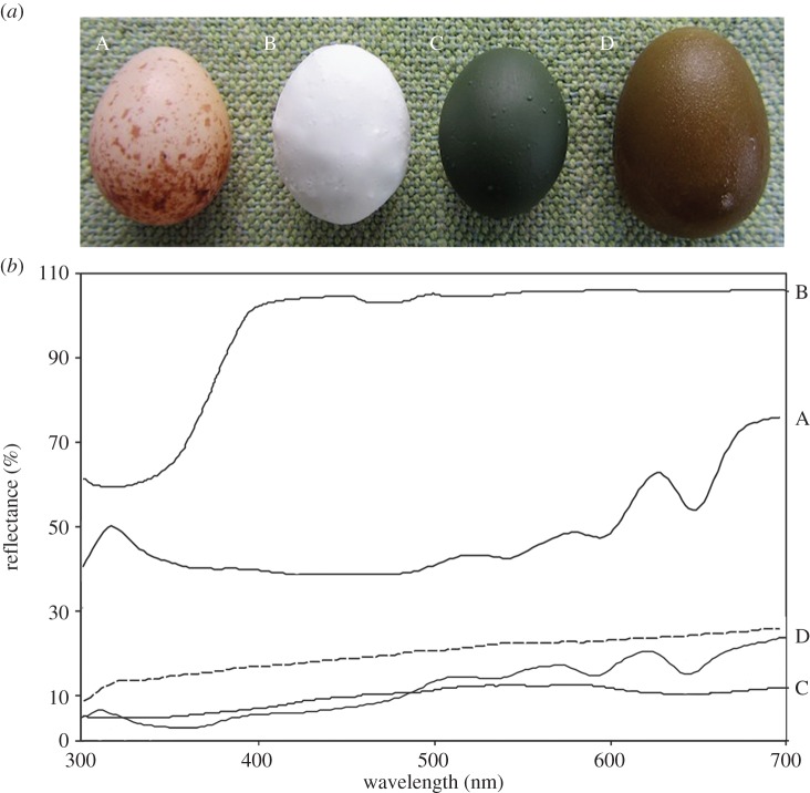 Figure 1.