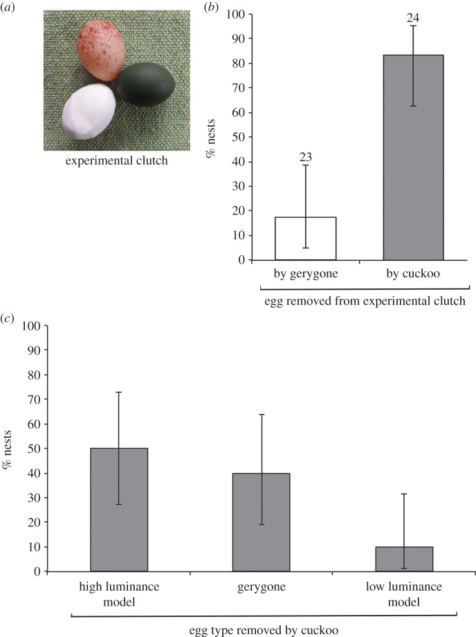 Figure 2.