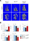 Figure 1—figure supplement 1.