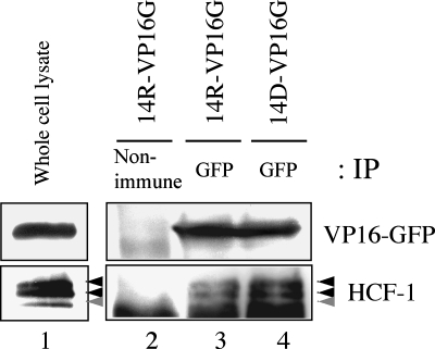 FIG. 9.