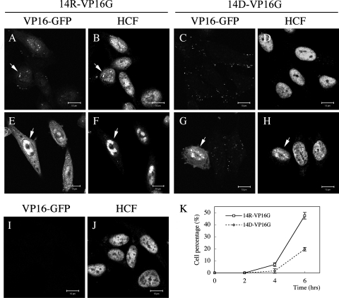 FIG. 8.