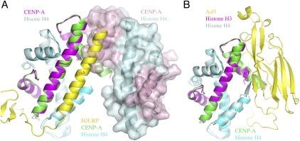 Figure 3.