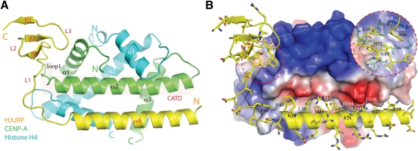 Figure 1.