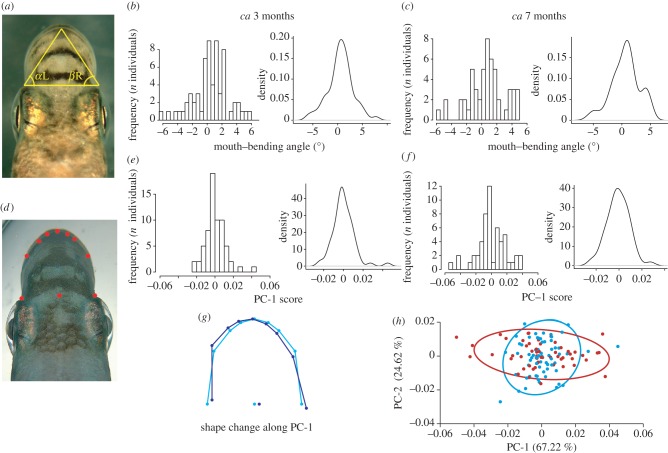 Figure 4.