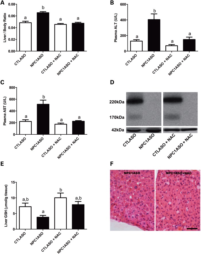 Figure 4.