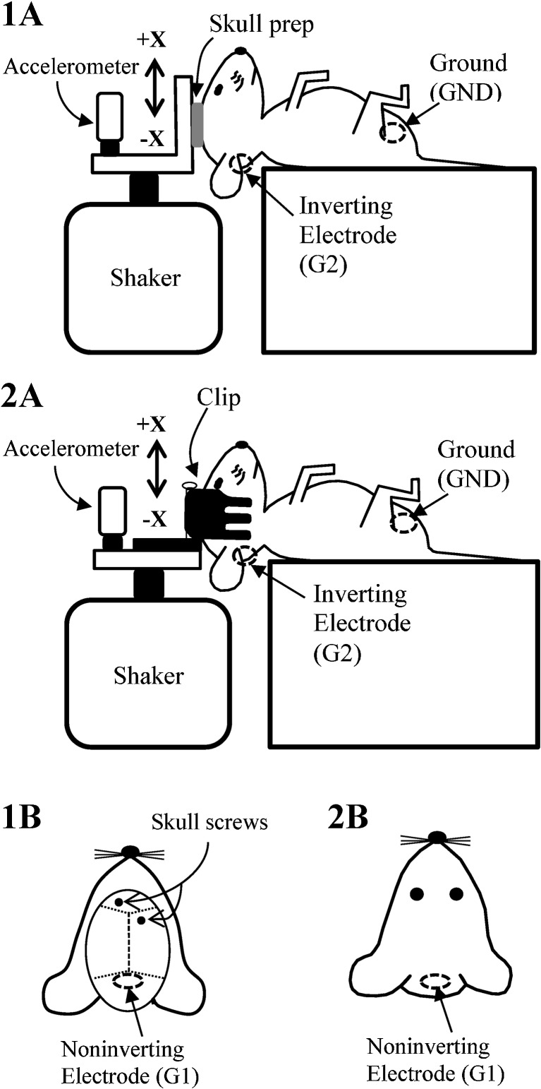 FIG. 5