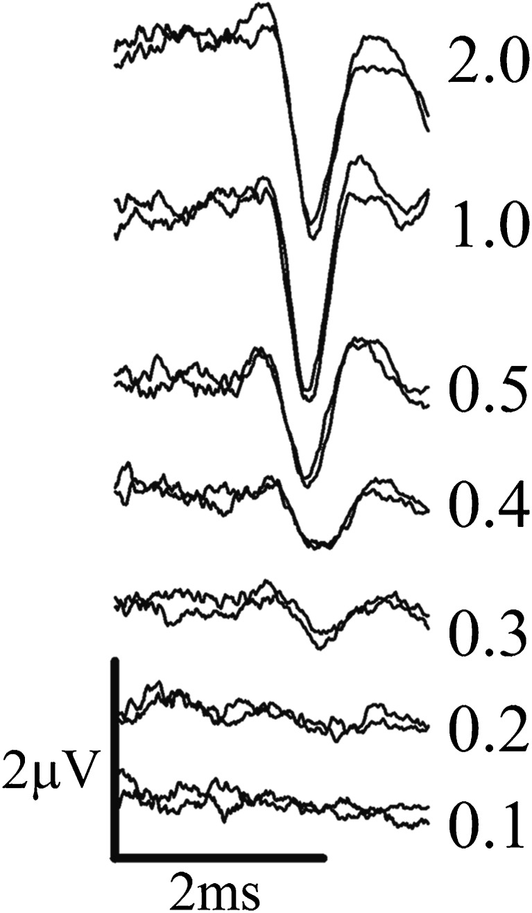 FIG. 3