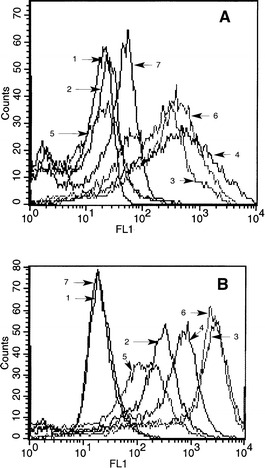 Fig. 2A, B.