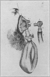275