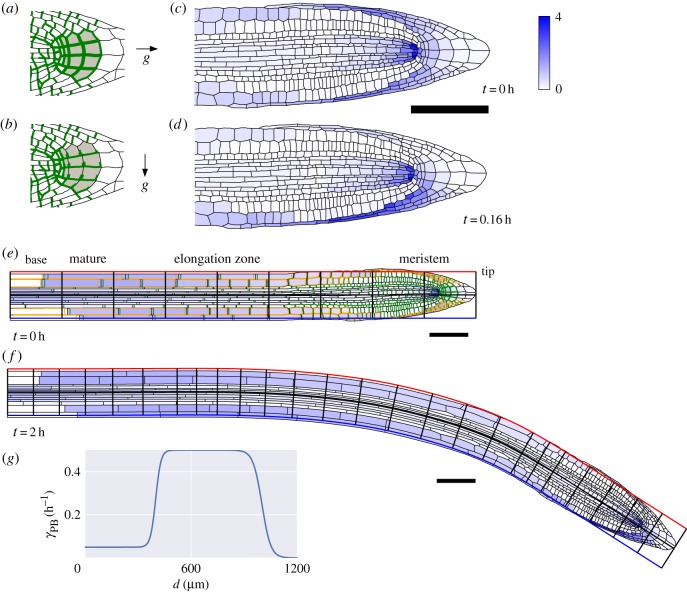 Figure 7.