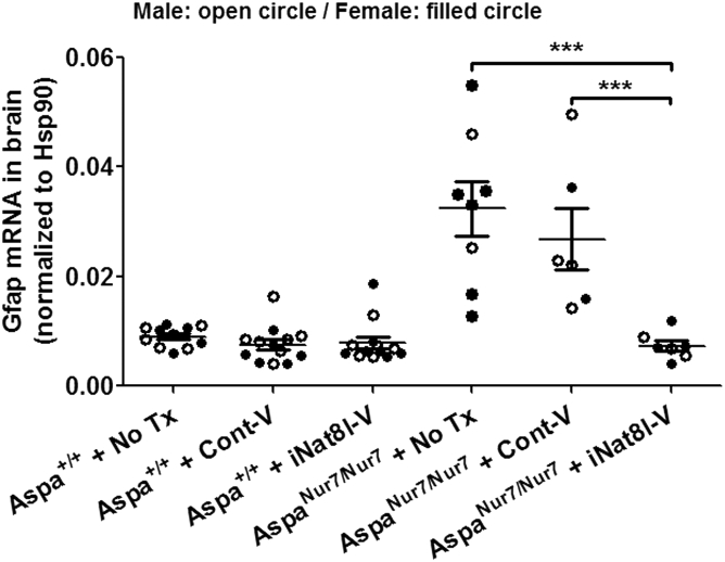 Figure 7