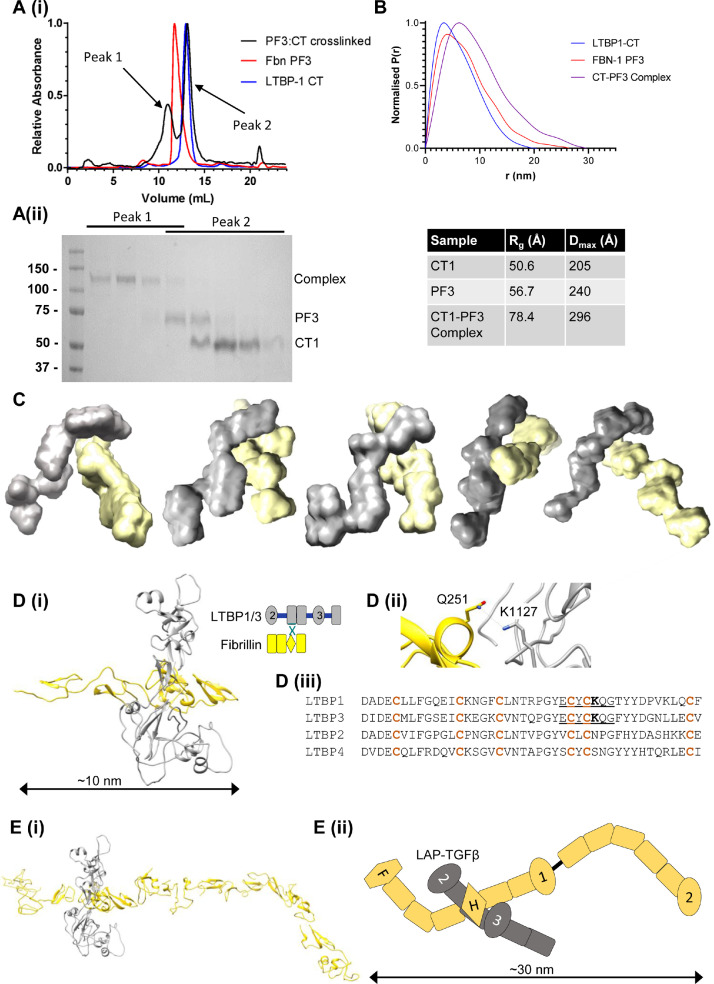 Fig 5