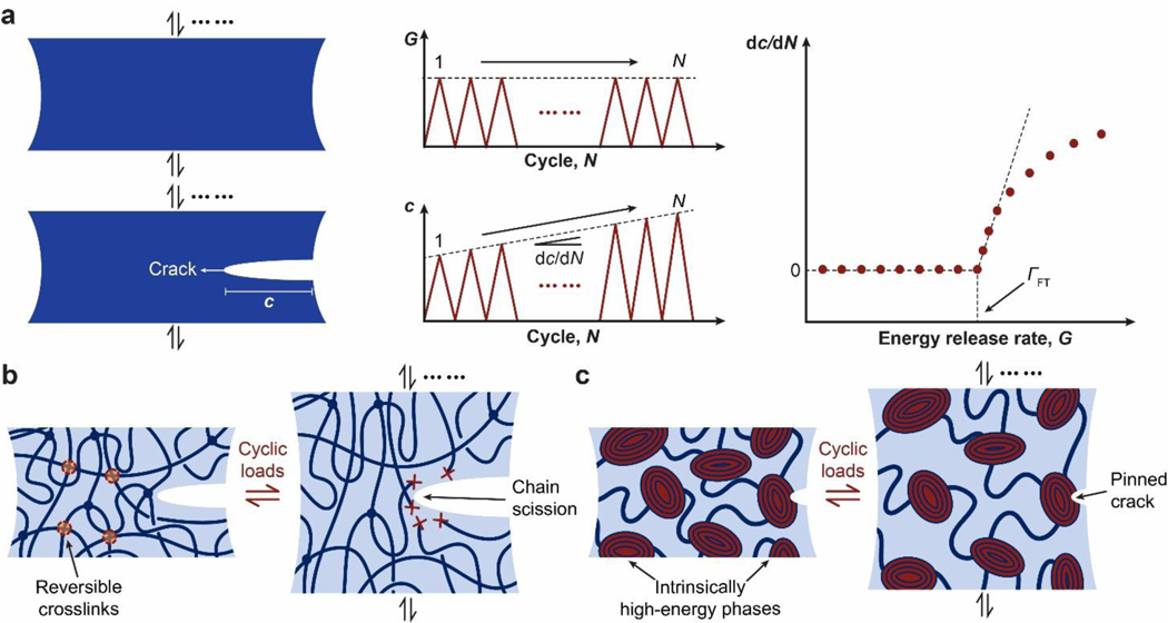 Figure 19.