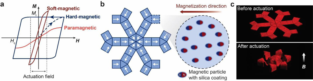 Figure 24.