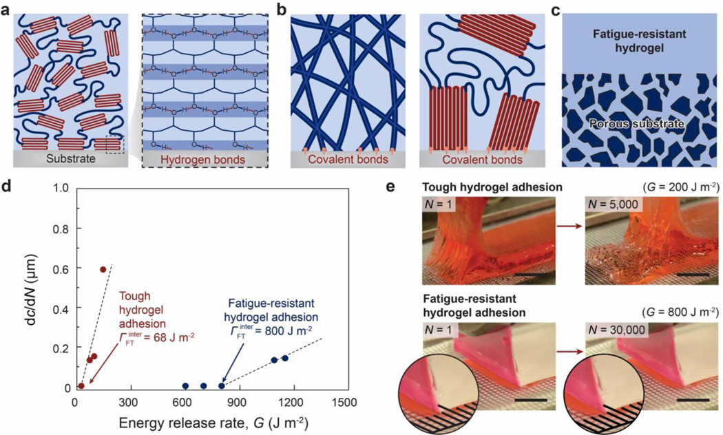 Figure 22.