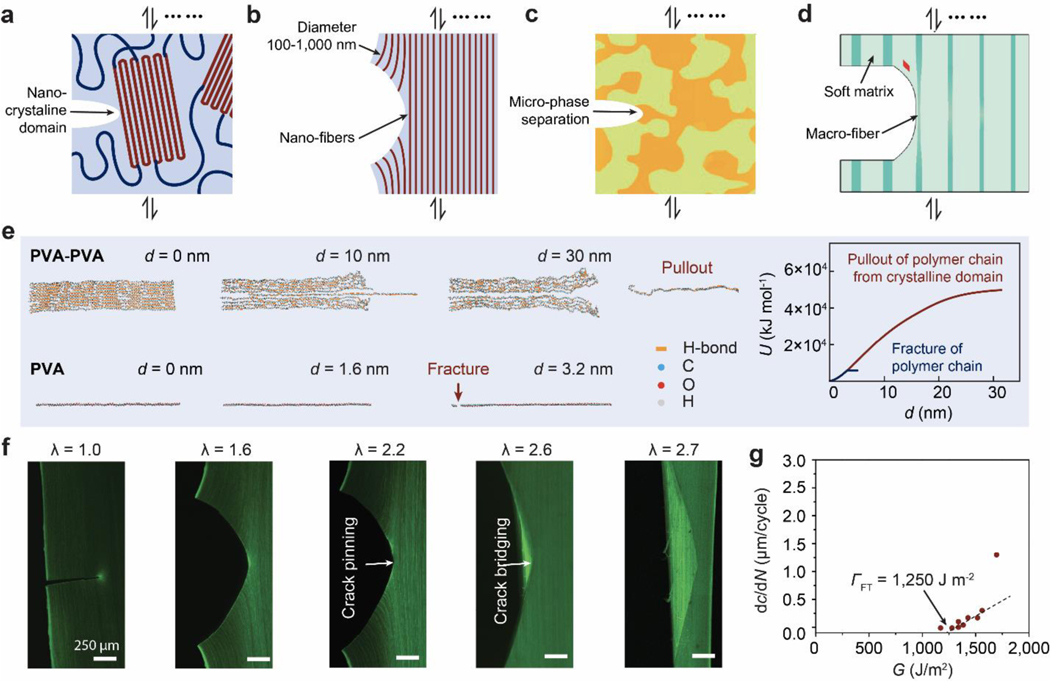 Figure 20.