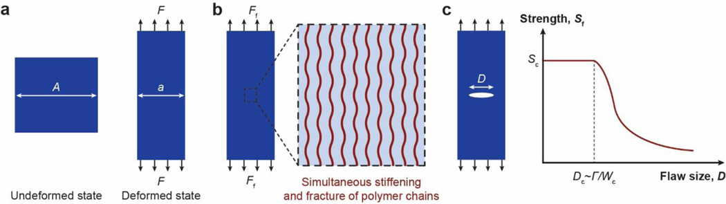 Figure 13.