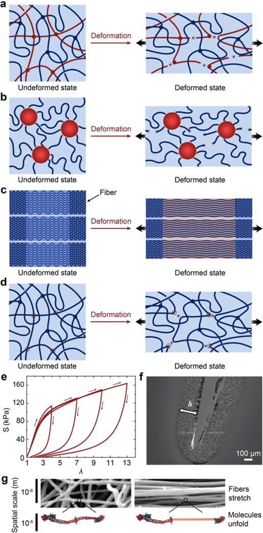 Figure 12.