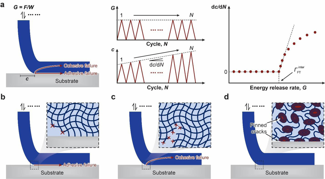 Figure 21.