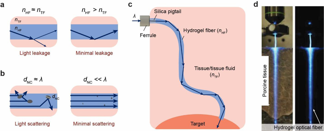 Figure 25.