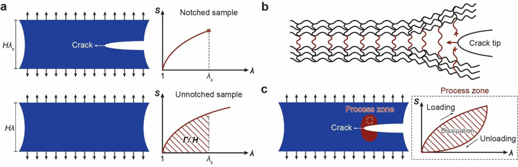 Figure 11.