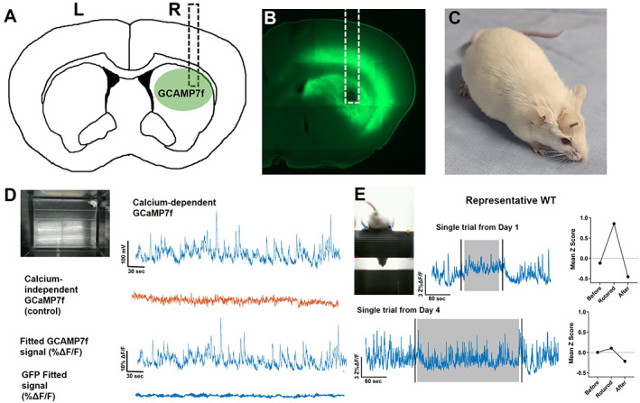 FIG 1