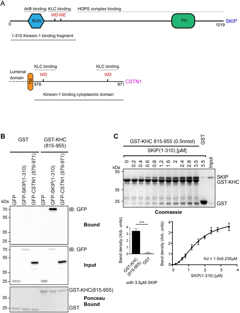 Fig. 1.