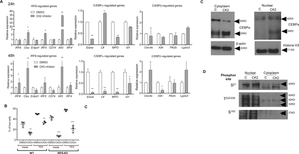 Figure 7: